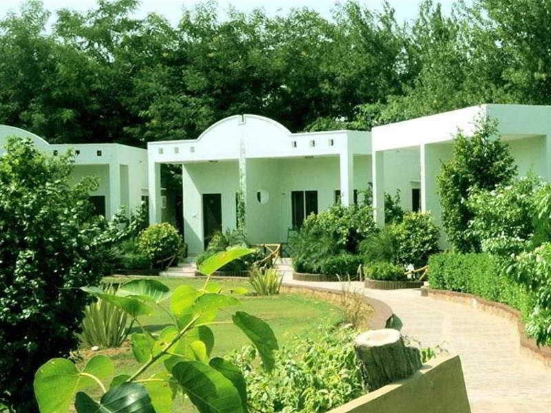 סוואי מדופור The Pugmark, A Wildlife Resort מראה חיצוני תמונה